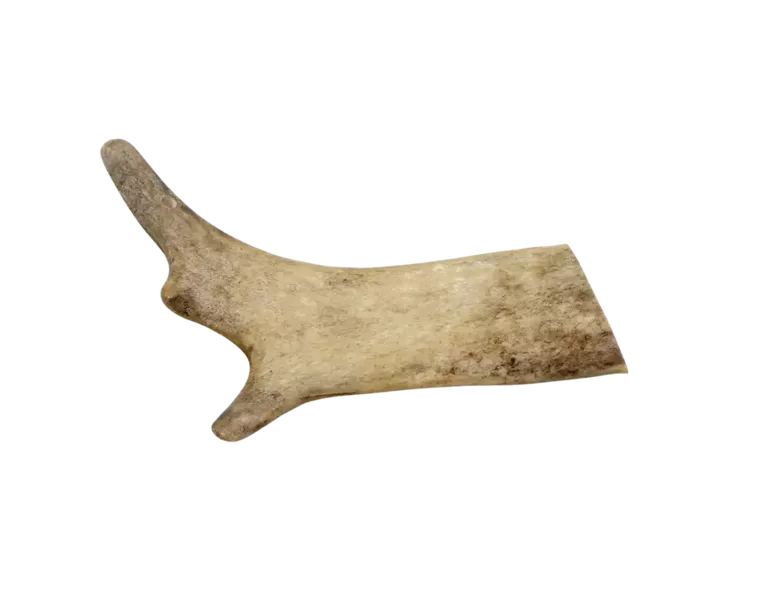 Marp Holistic - Fallow deer antlers, L (111-140g)